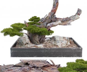 New Chinese Style Bonsai-ID:474280127