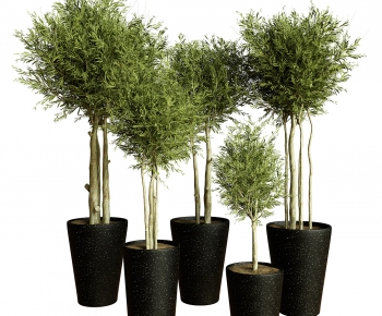 Modern Ground Green Plant Potted Plants-ID:527551891