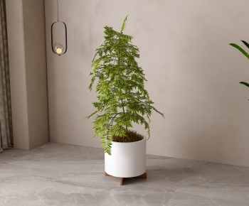 Modern Ground Green Plant Potted Plants-ID:501703021