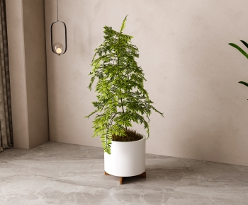 Modern Ground Green Plant Potted Plants-ID:540299445