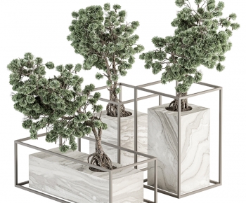 Modern Ground Green Plant Potted Plants-ID:581151012