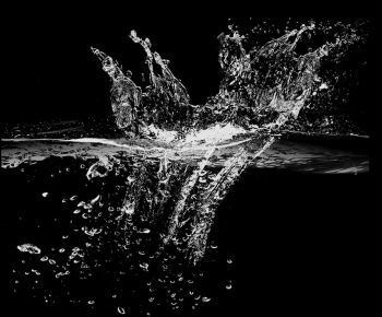 Modern Other-ID:544039012