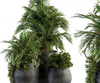 Modern Ground Green Plant Potted Plants-ID:918453931