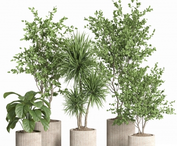 Modern Ground Green Plant Potted Plants-ID:621541027