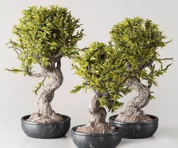 New Chinese Style Bonsai-ID:123140887