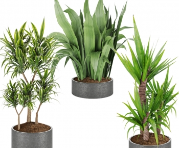 Modern Ground Green Plant Potted Plants-ID:126502996