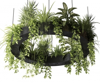 Modern Plant-ID:783648976