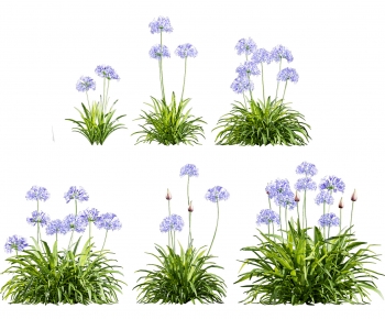 Modern Flowers And Grass-ID:402224065