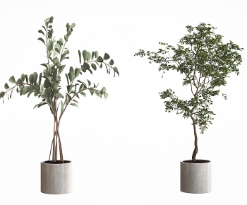 Modern Ground Green Plant Potted Plants-ID:876138937
