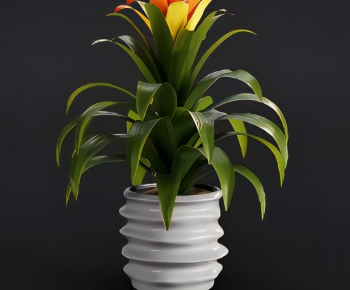 Modern Potted Green Plant-ID:361499077