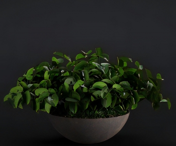 Modern Potted Green Plant-ID:324928058