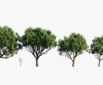 Modern Tree-ID:503309018