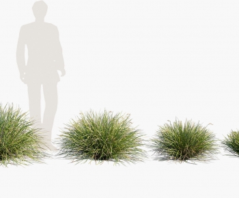 Modern The Grass-ID:418221956