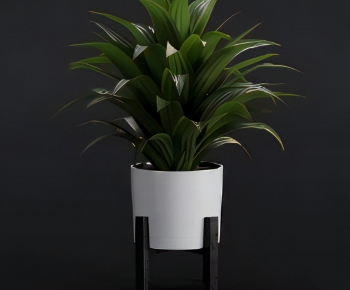 Modern Potted Green Plant-ID:578361992