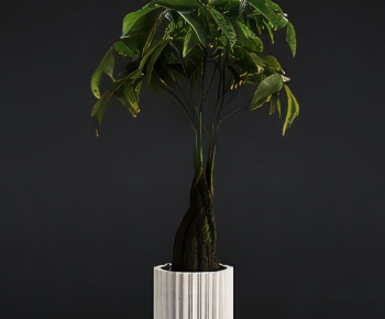 Modern Ground Green Plant Potted Plants-ID:509305009