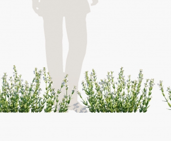 Modern The Grass-ID:905375009