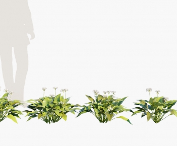 Modern Shrubbery-ID:194159987