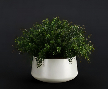 Modern Potted Green Plant-ID:398425101
