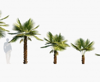 Modern Tree-ID:637528968