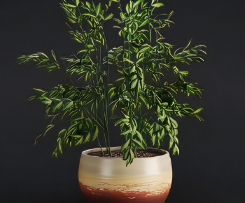 Modern Potted Green Plant-ID:985064031