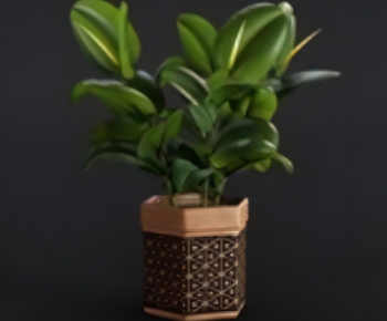 Modern Potted Green Plant-ID:152026892