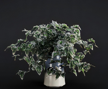 Modern Potted Green Plant-ID:134660014