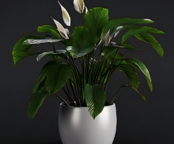 Modern Potted Green Plant-ID:819746025