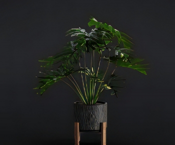 Modern Potted Green Plant-ID:891567954