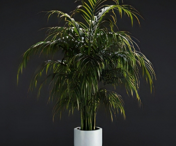 Modern Ground Green Plant Potted Plants-ID:784451013