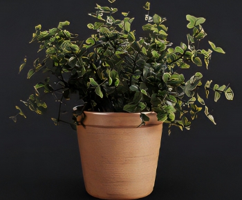 Modern Potted Green Plant-ID:407687909