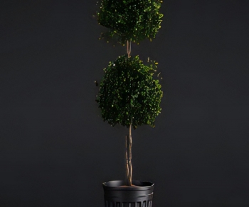 Modern Ground Green Plant Potted Plants-ID:899713996
