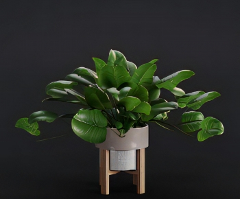 Modern Potted Green Plant-ID:487880954