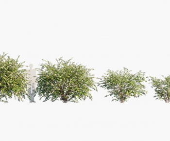 Modern Shrubbery-ID:163314101