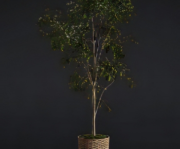 Modern Ground Green Plant Potted Plants-ID:693057068