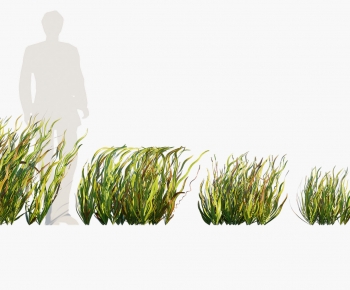 Modern The Grass-ID:556650218