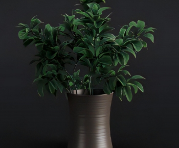 Modern Ground Green Plant Potted Plants-ID:971247916