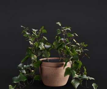 Modern Potted Green Plant-ID:169990069