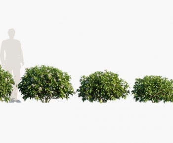 Modern Shrubbery-ID:106085068