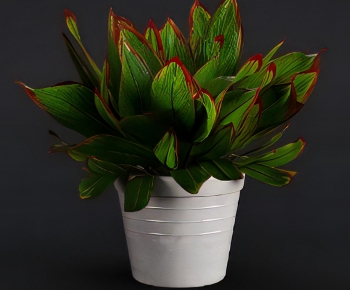 Modern Potted Green Plant-ID:432012087