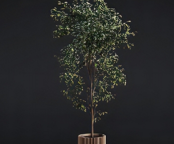 Modern Ground Green Plant Potted Plants-ID:906338931