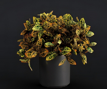 Modern Potted Green Plant-ID:254647027