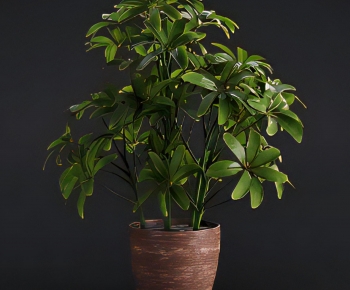 Modern Potted Green Plant-ID:160930286