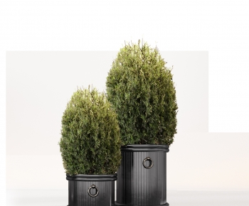 Modern Ground Green Plant Potted Plants-ID:571118126