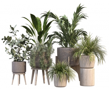 Modern Ground Green Plant Potted Plants-ID:835707907