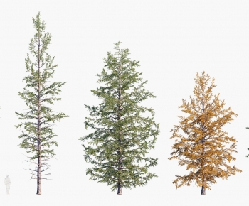 Modern Tree-ID:134350066