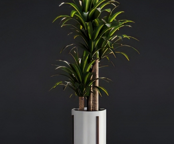 Modern Ground Green Plant Potted Plants-ID:315270909