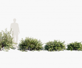 Modern Shrubbery-ID:103872061