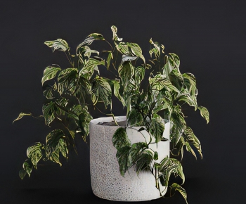 Modern Potted Green Plant-ID:939999102