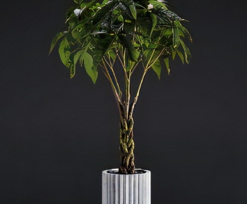 Modern Ground Green Plant Potted Plants-ID:785377981