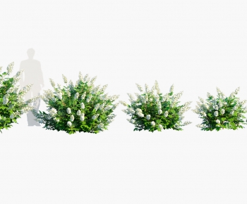 Modern Shrubbery-ID:407566071